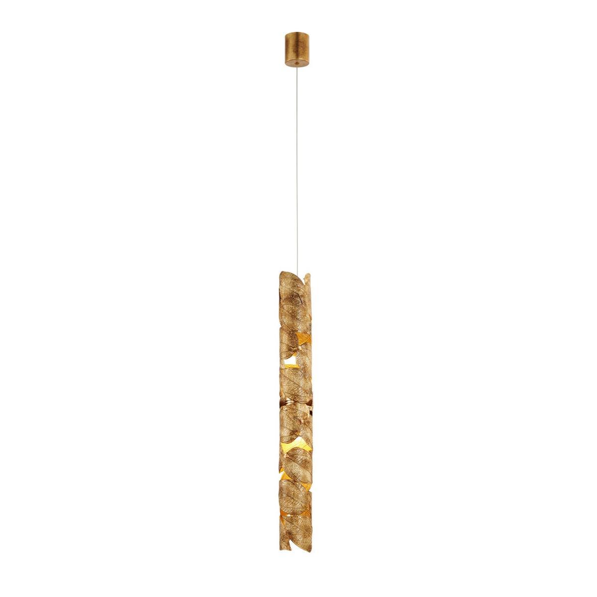 card-img