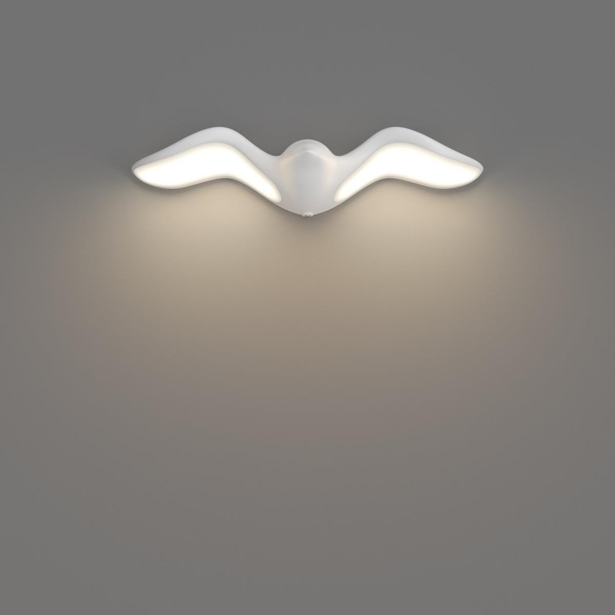 card-img