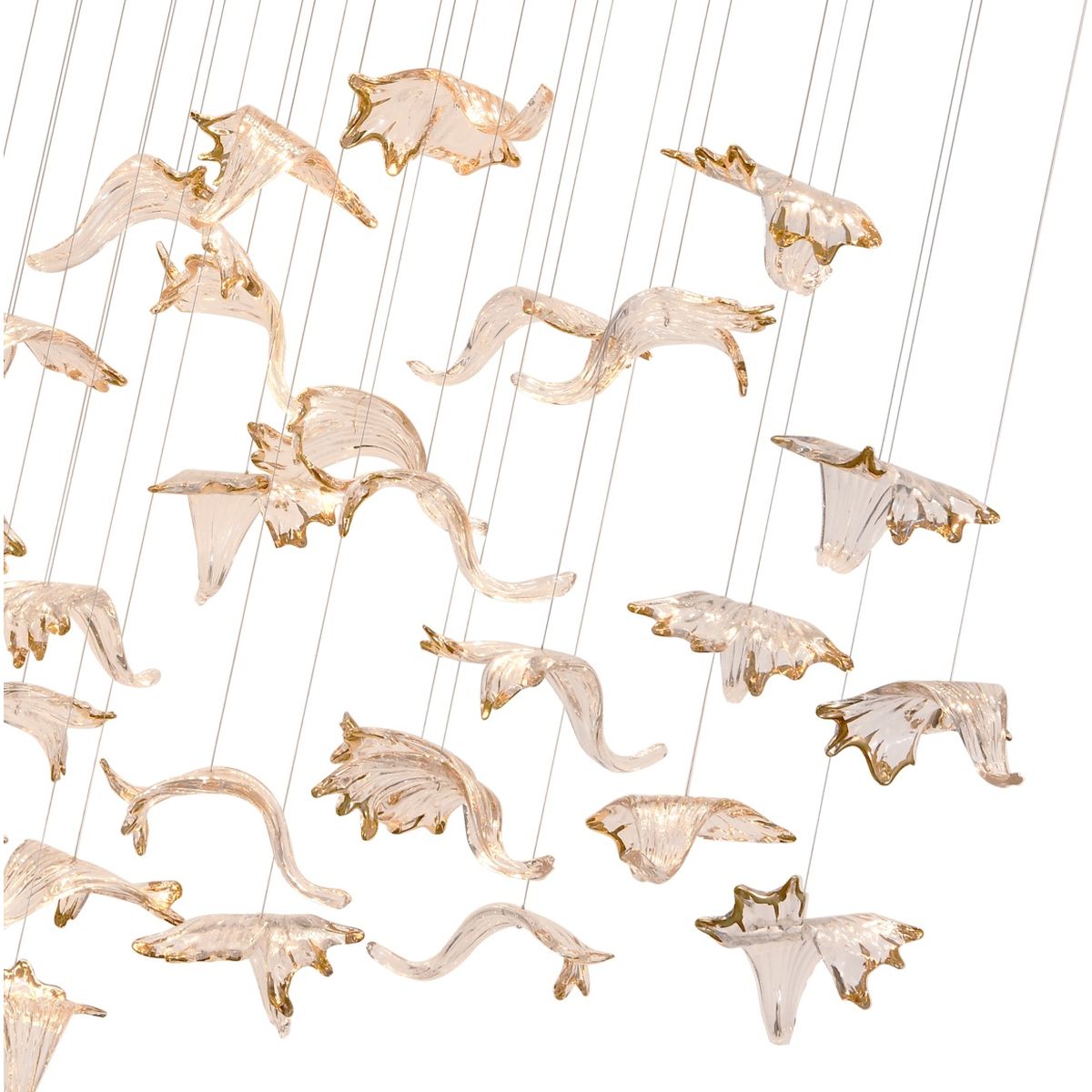 card-img